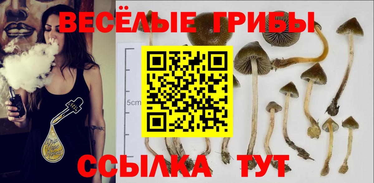 Галлюциногенные грибы Psilocybe  Вход с VPN  Ногинск  Псилоцибиновые грибы мицелий 